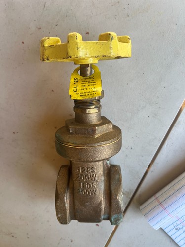 Apollo 038 bronze - 2",